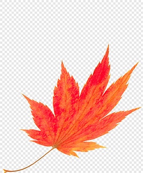 작품
