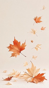 작품